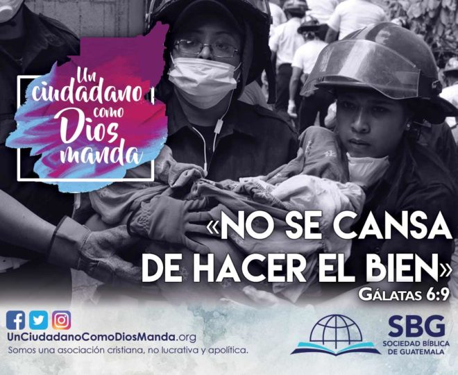 Crexis